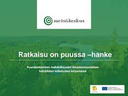 ratkaisuonpuussa logo.jfif